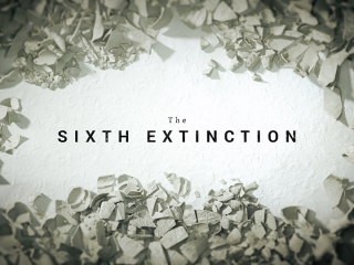 The Sixth Extinction